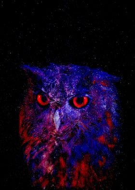 Cosmic Owl