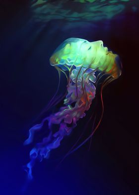 Jellyfish