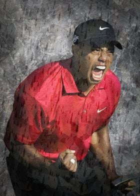 Tiger Woods Championship 