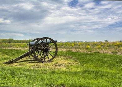 Lone Cannon