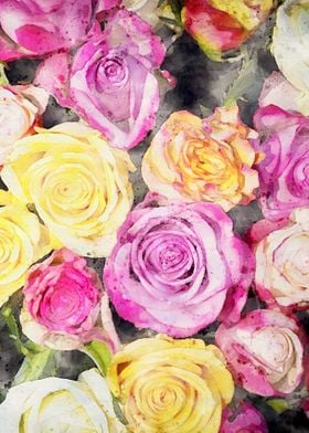 Brightly Colored Roses