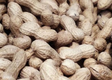 peanuts texture