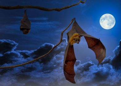 brown bats at full moon
