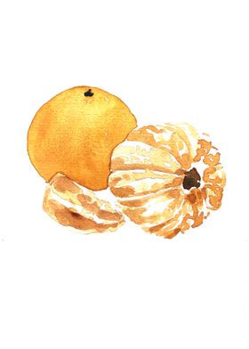 Fruit