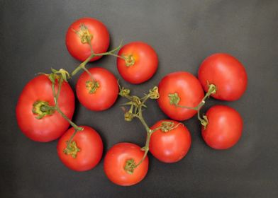 tomatoes