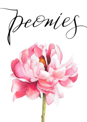 Peonies