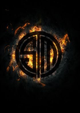 Team SoloMid