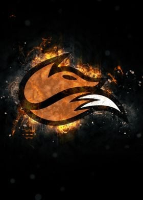 Echo Fox 