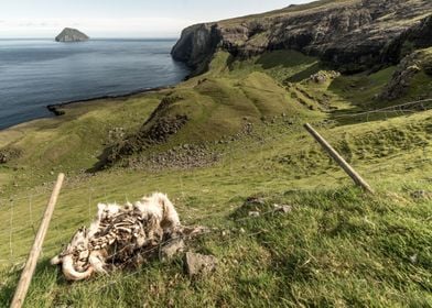 Faroese landscape