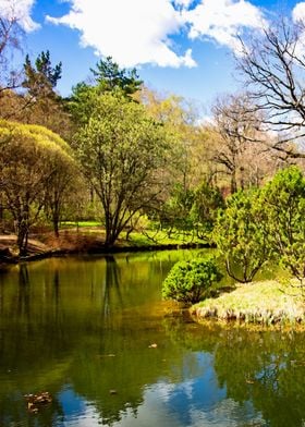 Spring In The Garden