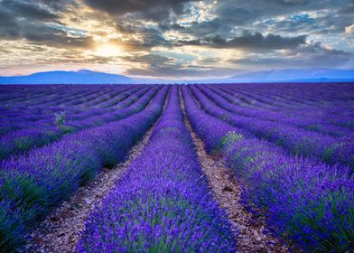 Provence France