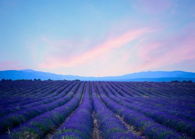 Provence France