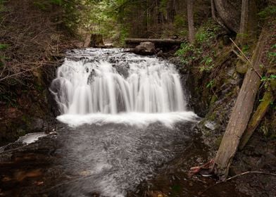 Waterfall in the Forest