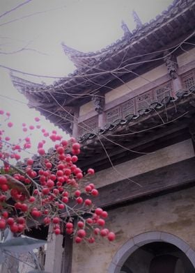 red berries in china      