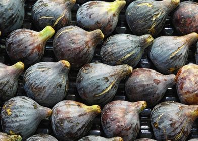 figs