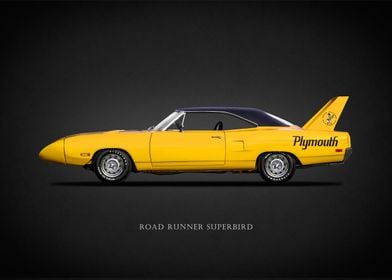 The Superbird