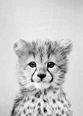 Baby Cheetah BW