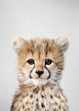 Baby Cheetah Colorful