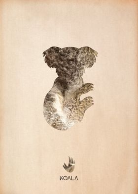 Koala Silhouette Texture