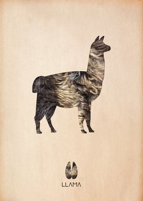 Llama Silhouette Texture