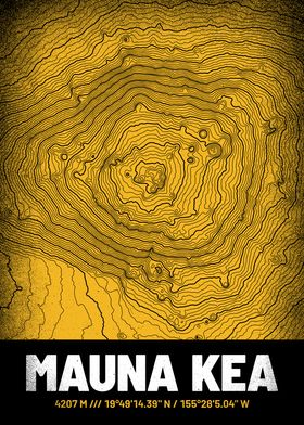 Mauna Kea Topographic Map