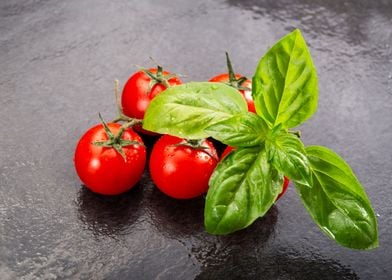 basil and tomatoes