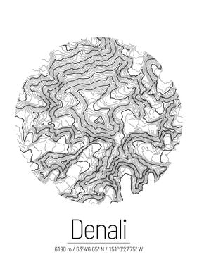 Denali Topographic Map