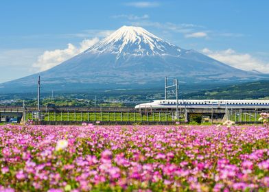 Shinkansen or bullet train