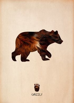 Grizzly Silhouette Texture