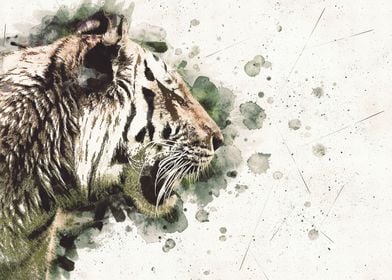 Watercolour Jungle King