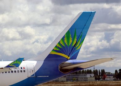 Airbus A330 Tail 