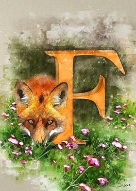 F Fox