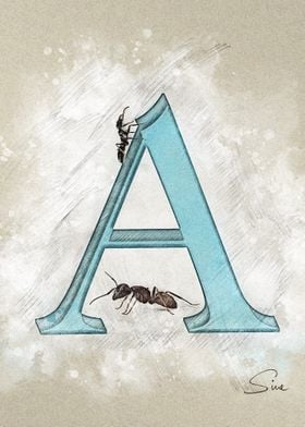 A Ants