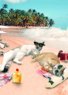 Funny Cat Beach