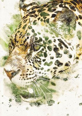Watercolour Leopard