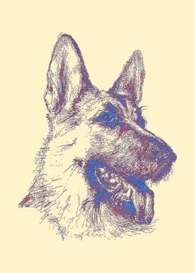 German Shepherd