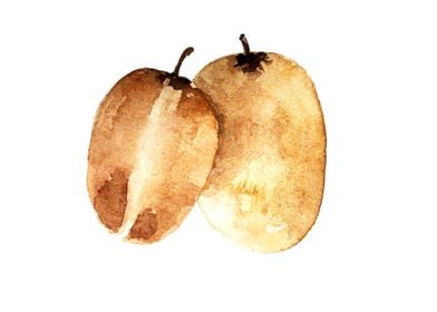 Fruit