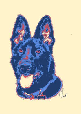 German Shepherd