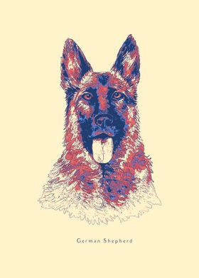 German Shepherd