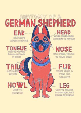 German Shepherd