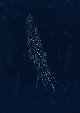 Firefly squid