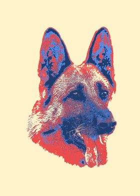 German Shepherd