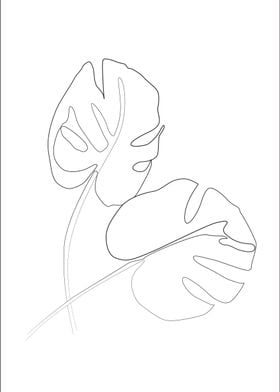 monstera leaf one line art