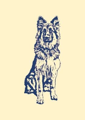 German Shepherd