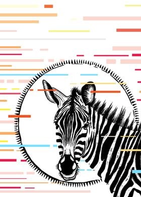 Zebra Glitch