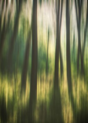 Forest blur