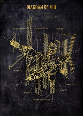 diagram of mir