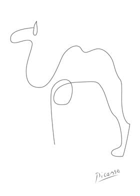 picasso camel line art