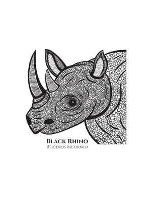 Black Rhino with Names