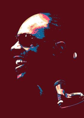 Stevie Wonder Pop Art 1